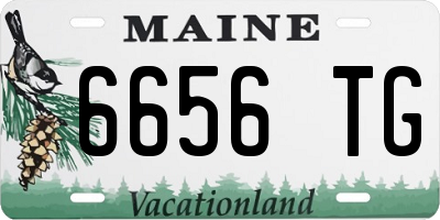 ME license plate 6656TG