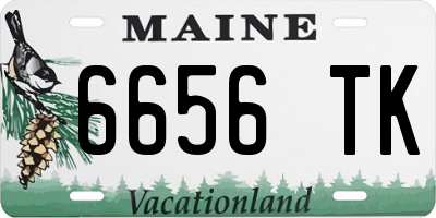 ME license plate 6656TK
