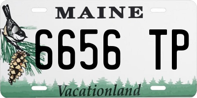 ME license plate 6656TP