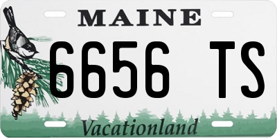 ME license plate 6656TS