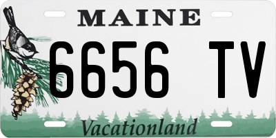 ME license plate 6656TV