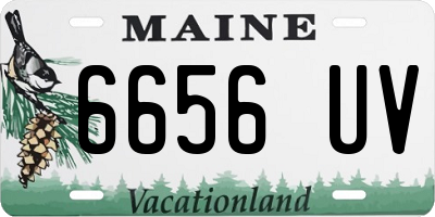 ME license plate 6656UV