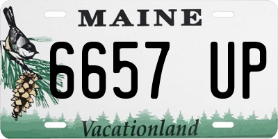 ME license plate 6657UP