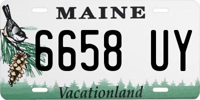 ME license plate 6658UY