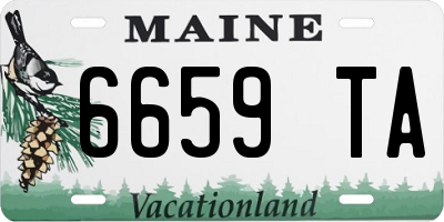 ME license plate 6659TA