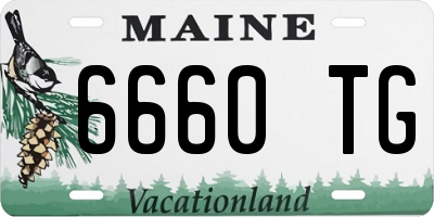 ME license plate 6660TG