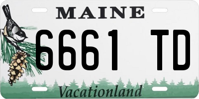 ME license plate 6661TD