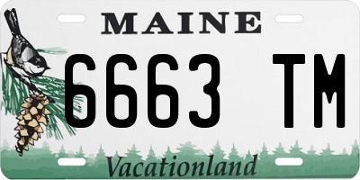 ME license plate 6663TM