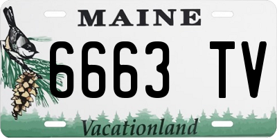 ME license plate 6663TV