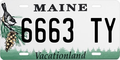 ME license plate 6663TY