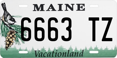 ME license plate 6663TZ