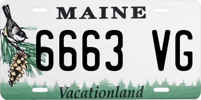 ME license plate 6663VG