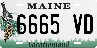 ME license plate 6665VD