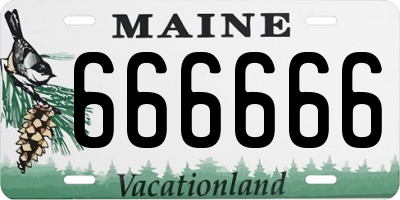 ME license plate 666666