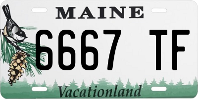 ME license plate 6667TF