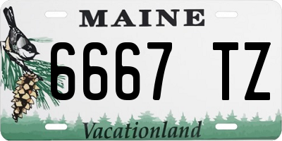 ME license plate 6667TZ