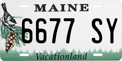 ME license plate 6677SY