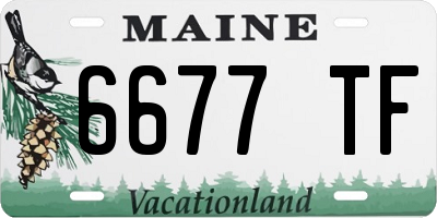 ME license plate 6677TF