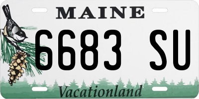 ME license plate 6683SU