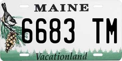 ME license plate 6683TM