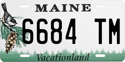 ME license plate 6684TM