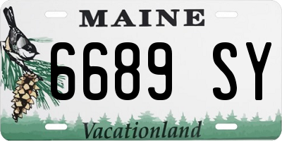 ME license plate 6689SY