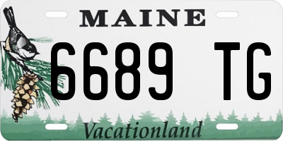 ME license plate 6689TG