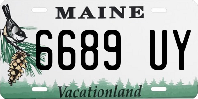 ME license plate 6689UY