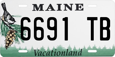 ME license plate 6691TB