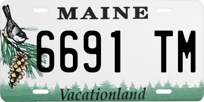 ME license plate 6691TM