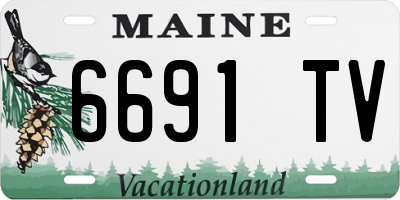 ME license plate 6691TV