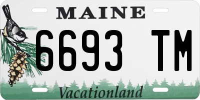 ME license plate 6693TM