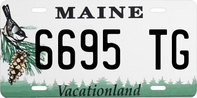 ME license plate 6695TG