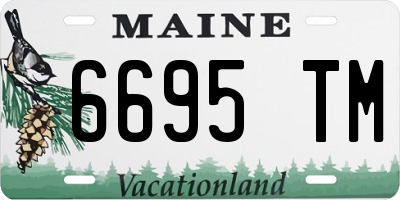 ME license plate 6695TM