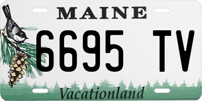 ME license plate 6695TV