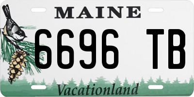 ME license plate 6696TB