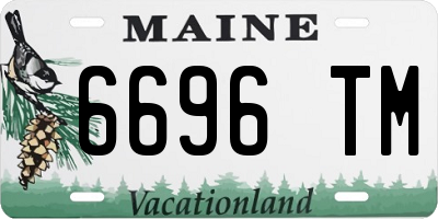 ME license plate 6696TM