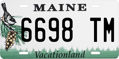 ME license plate 6698TM