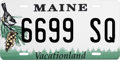 ME license plate 6699SQ