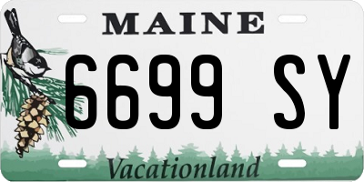 ME license plate 6699SY