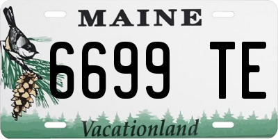 ME license plate 6699TE