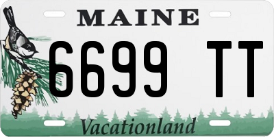 ME license plate 6699TT