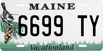 ME license plate 6699TY