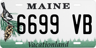 ME license plate 6699VB