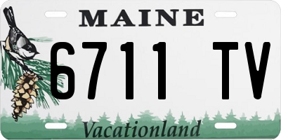 ME license plate 6711TV