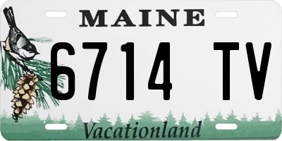 ME license plate 6714TV