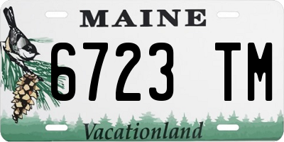ME license plate 6723TM