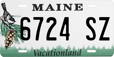 ME license plate 6724SZ