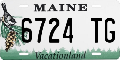 ME license plate 6724TG