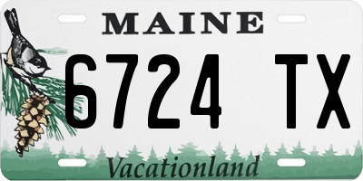 ME license plate 6724TX